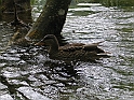 WAKACJE 2005 326