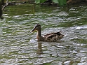 WAKACJE 2005 327