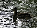 WAKACJE 2005 328