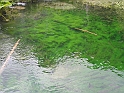 WAKACJE 2005 331