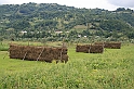 wakacje z bratem 2007 059