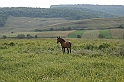 wakacje z bratem 2007 168