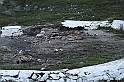 wakacje z bratem 2007 203