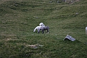 wakacje z bratem 2007 394