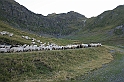 wakacje z bratem 2007 406