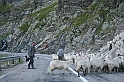 wakacje z bratem 2007 414