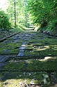 wakacje z bratem 2007 584