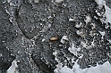 wakacje z bratem 2007 689