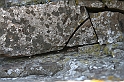 wakacje z bratem 2007 744