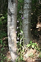 Bulgaria 2008 365