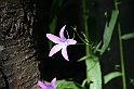 Bulgaria 2008 367