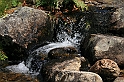 Bulgaria 2008 384