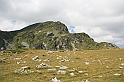 Bulgaria 2008 501