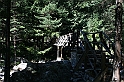 Bulgaria 2008 552