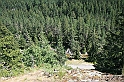 Bulgaria 2008 570