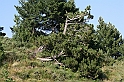 Bulgaria 2008 847