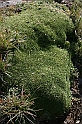 Bulgaria 2008 884
