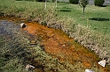 Bulgaria 2008 960