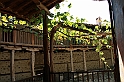 Bulgaria 2008 976