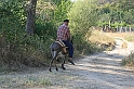 Bulgaria 2008 1021