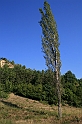 Bulgaria 2008 1032