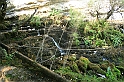 Bulgaria 2008 229