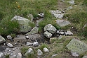 Bulgaria 2008 319