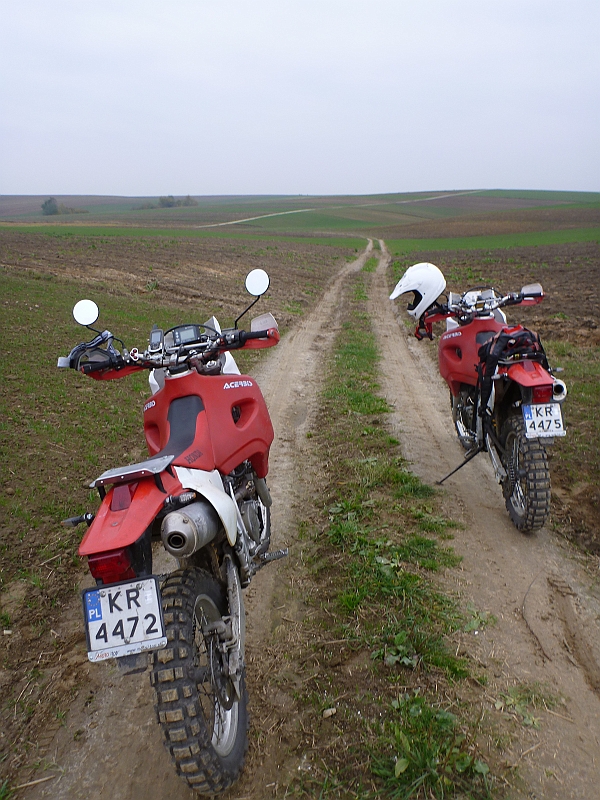 P1000029